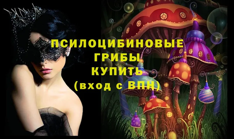 Галлюциногенные грибы Psilocybe  Великий Устюг 